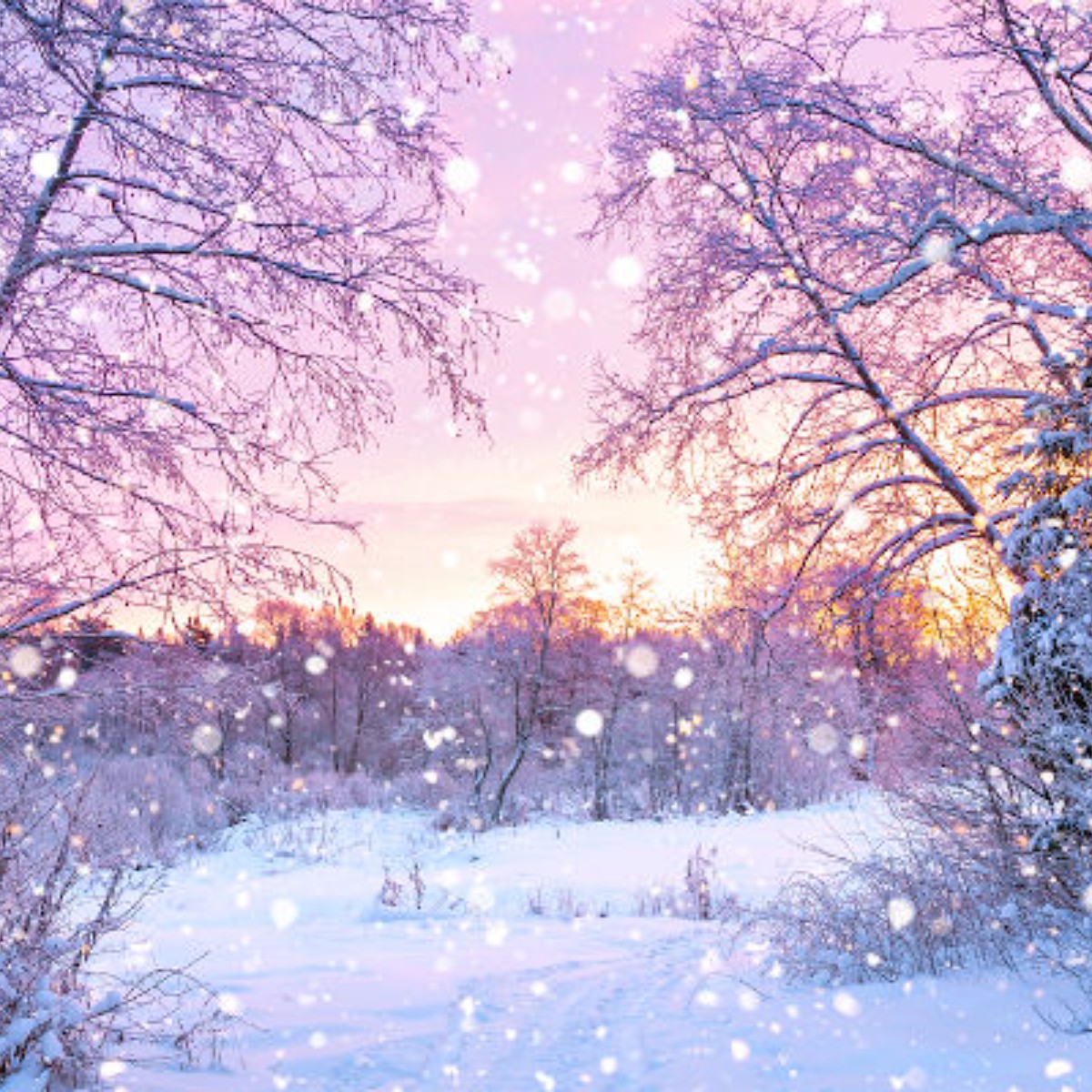 Inverno